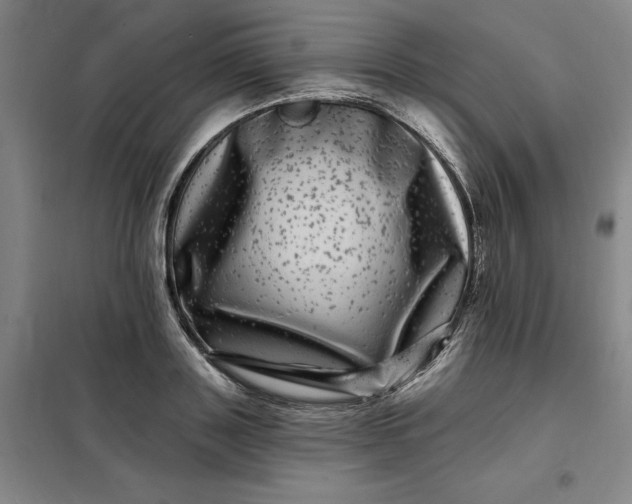 X0000098150843200805011406
