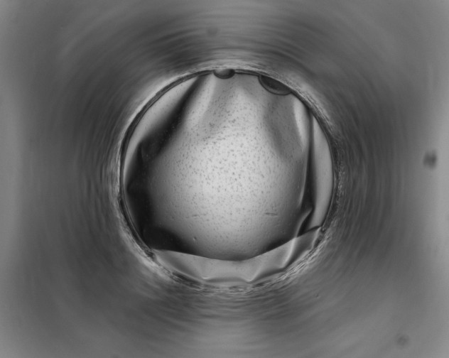 X0000098150844200805011406