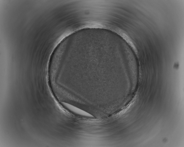 X0000098150845200805011406