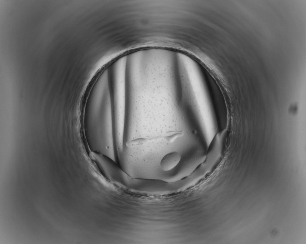 X0000098150846200805011406