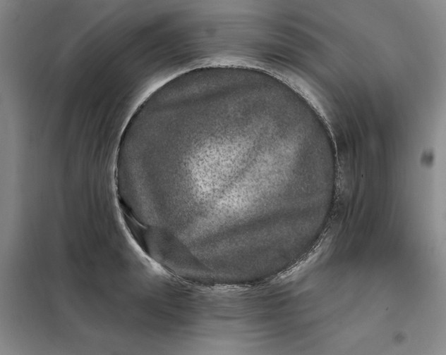 X0000098150847200805011406