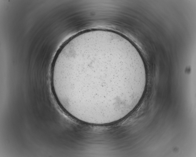 X0000098150848200805011406