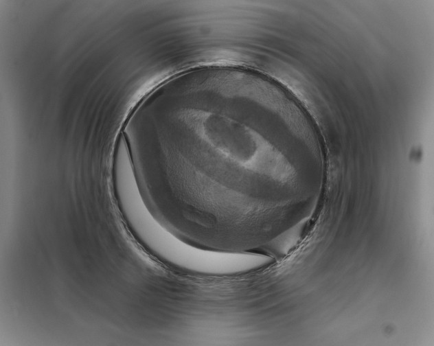 X0000098150850200805011406