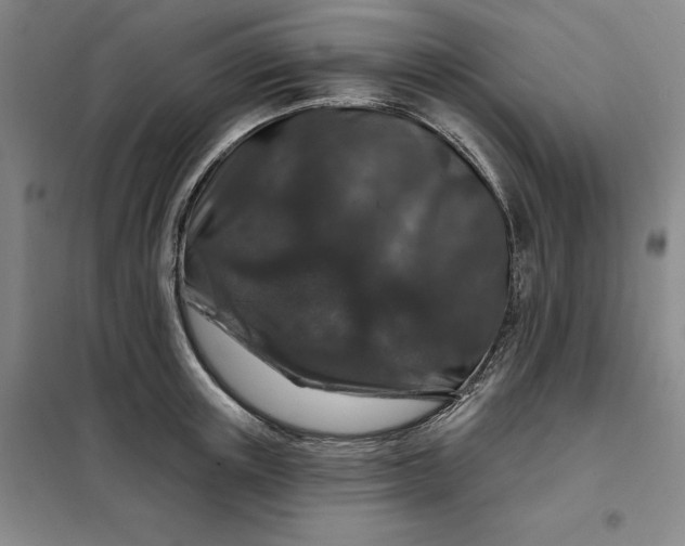 X0000098150851200805011406
