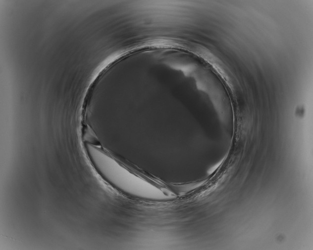X0000098150853200805011406