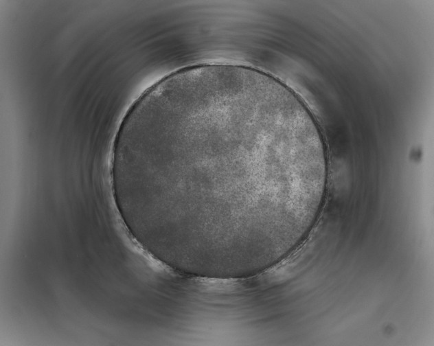 X0000098150856200805011406