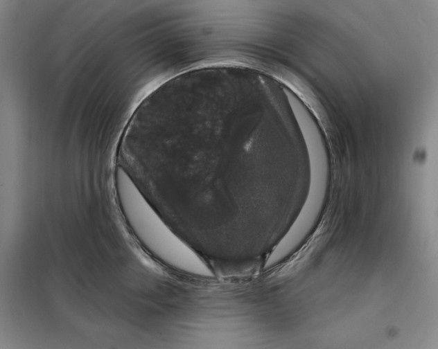 X0000098150858200805011406