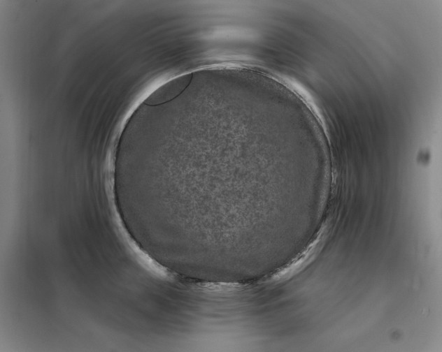 X0000098150859200805011406