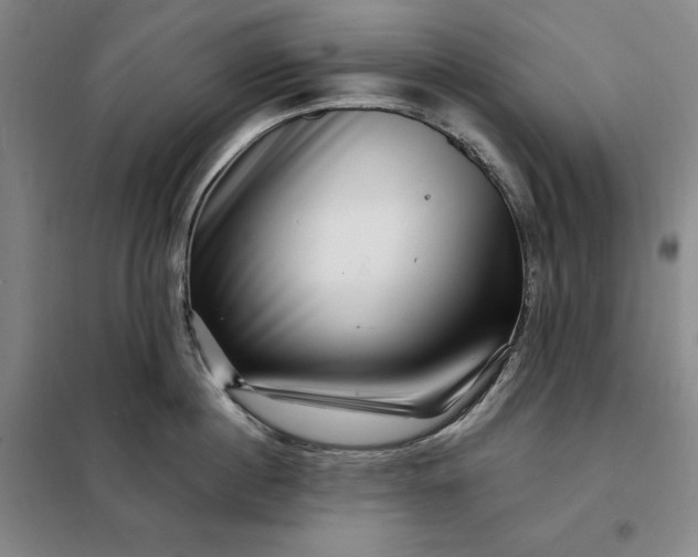 X0000098150860200805011406