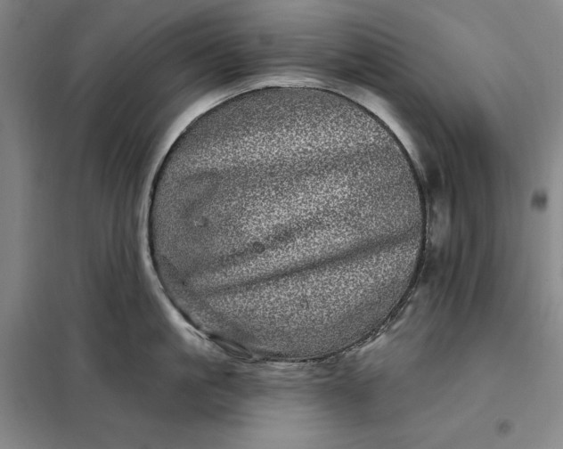 X0000098150861200805011406