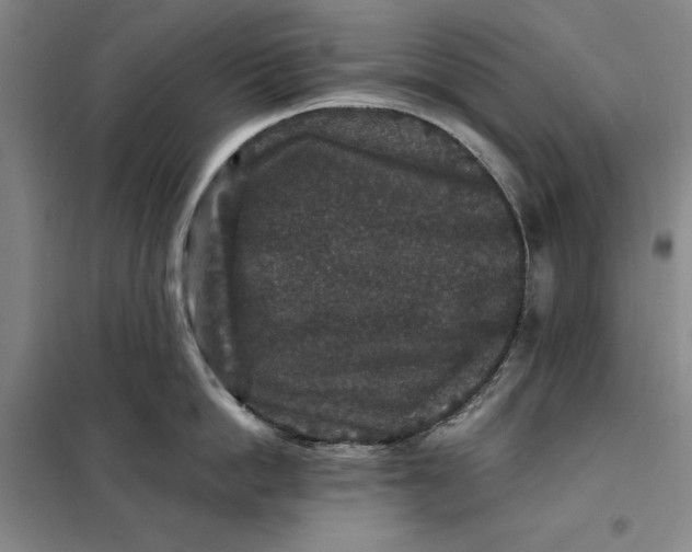 X0000098150862200805011406