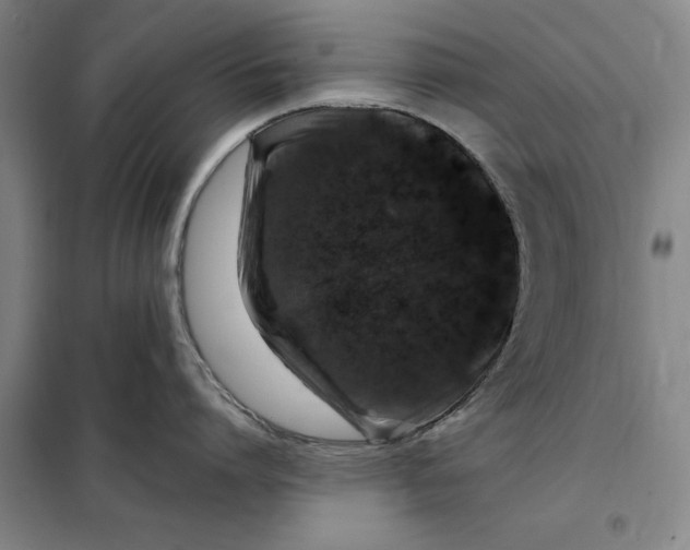 X0000098150864200805011406