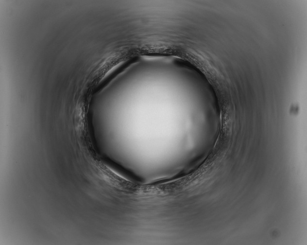 X0000098150866200805011405