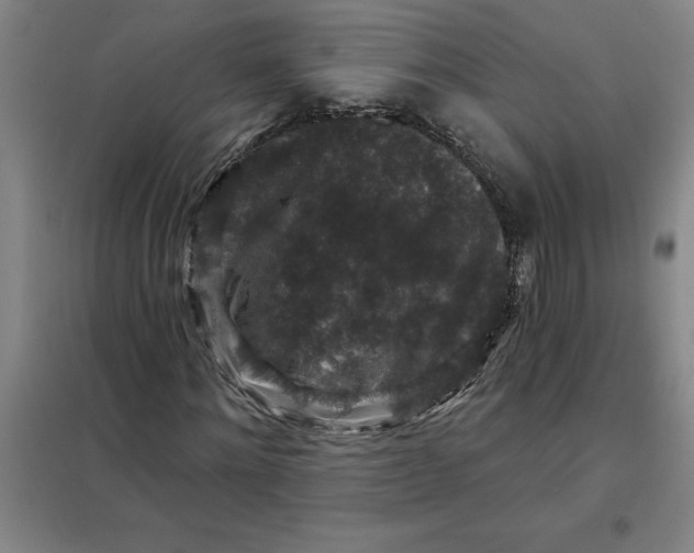 X0000098150868200805011405