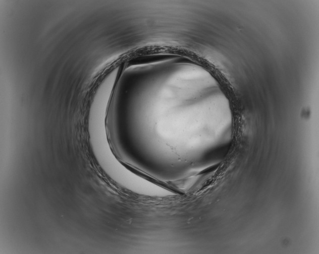 X0000098150872200805011405