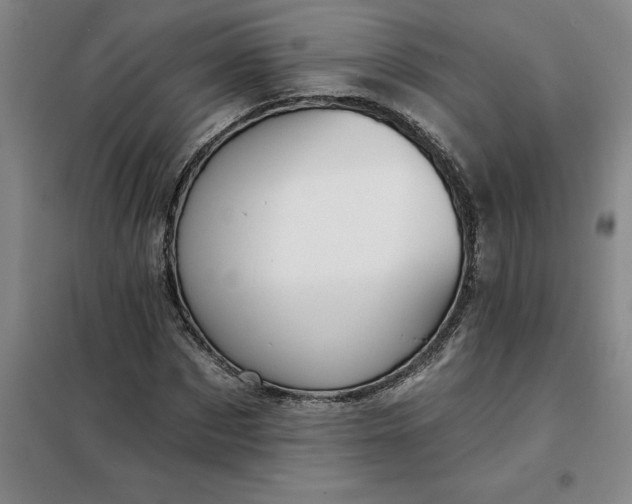 X0000098150873200805011405