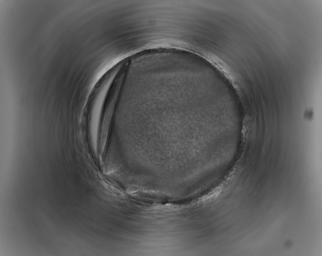X0000098150877200805011405