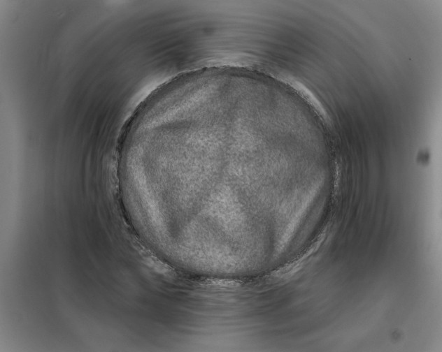 X0000098150878200805011405