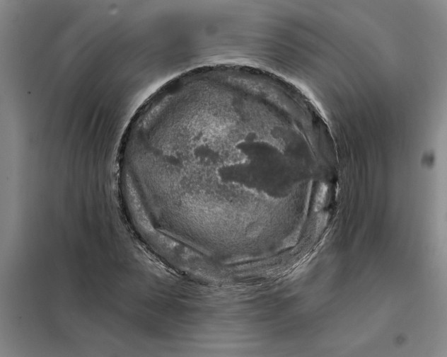 X0000098150879200805011405
