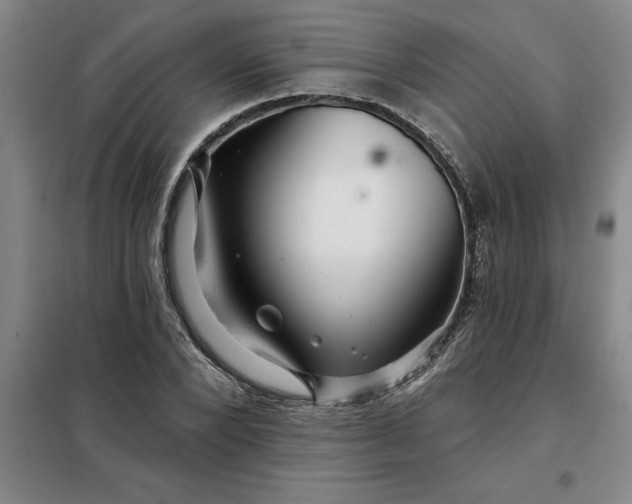 X0000098150880200805011405