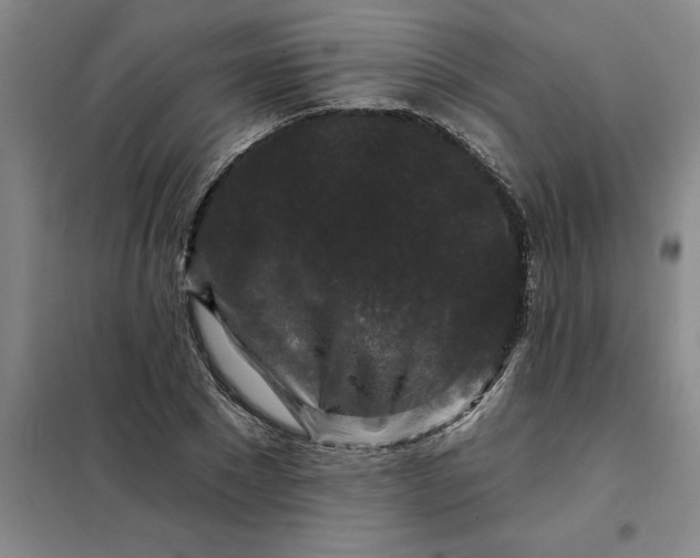X0000098150881200805011405