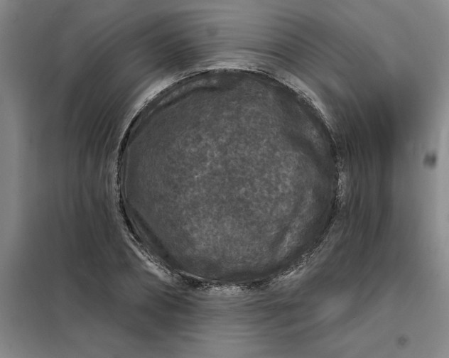 X0000098150882200805011405