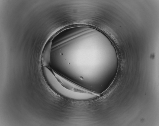 X0000098150884200805011405