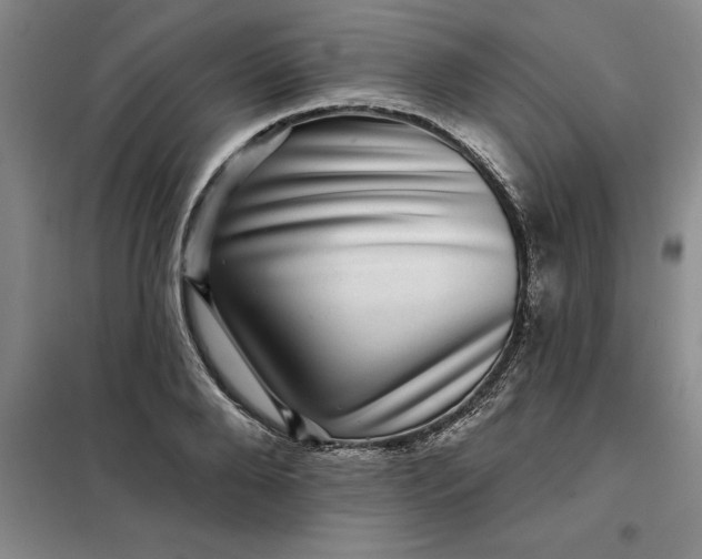 X0000098150888200805011405