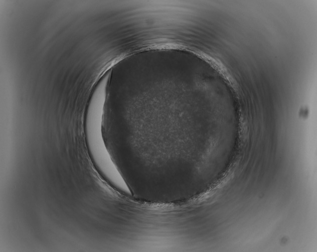 X0000098150889200805011405