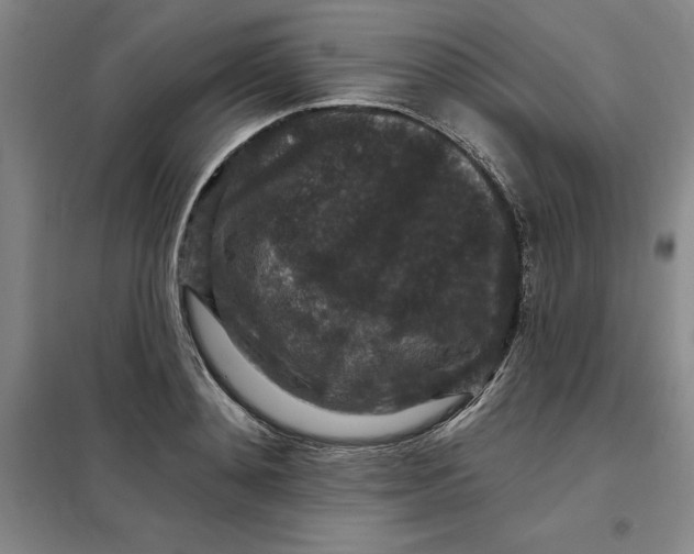 X0000098150892200805011405