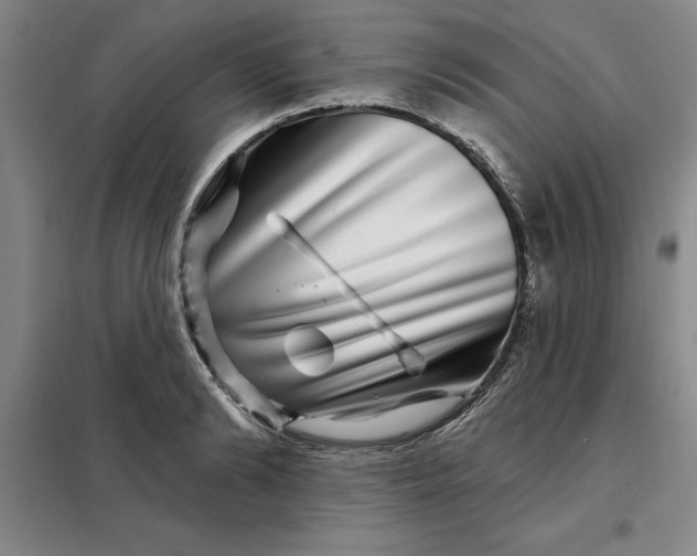 X0000098150894200805011405