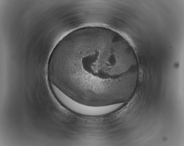 X0000098150895200805011405