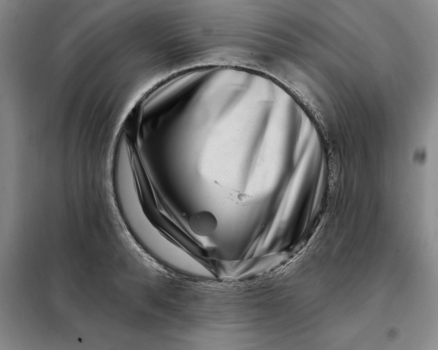 X0000098150896200805011405