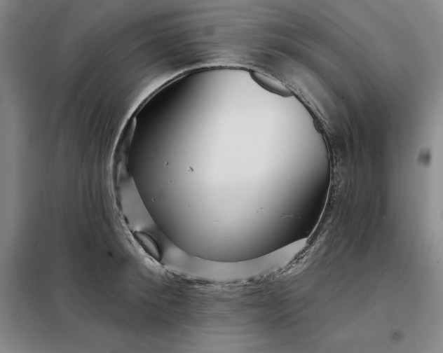 X0000098150900200805011405