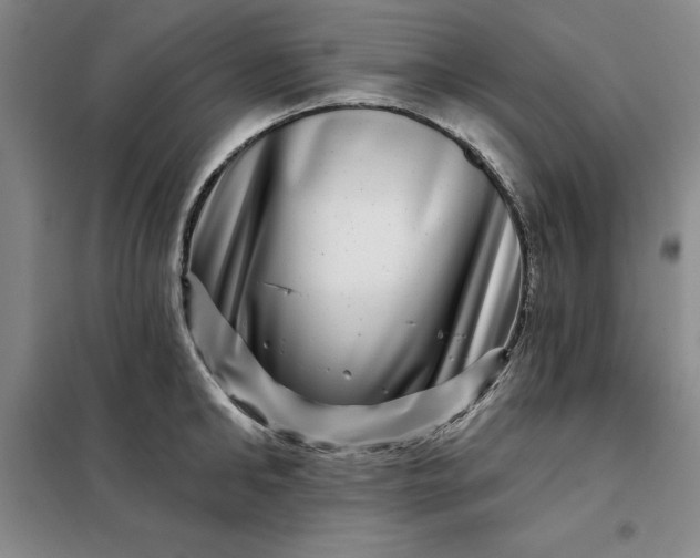 X0000098150902200805011405