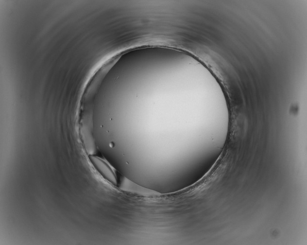 X0000098150904200805011405