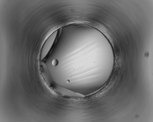X0000098150906200805011404