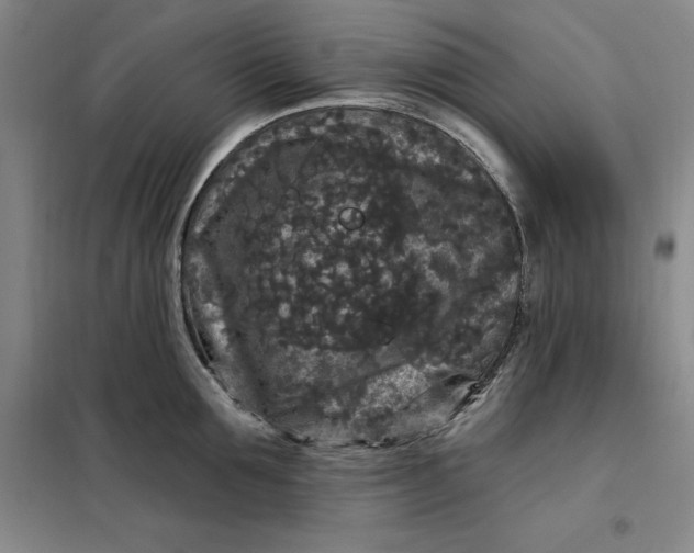 X0000098150907200805011404