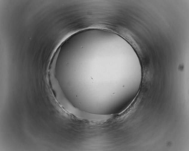 X0000098150908200805011404