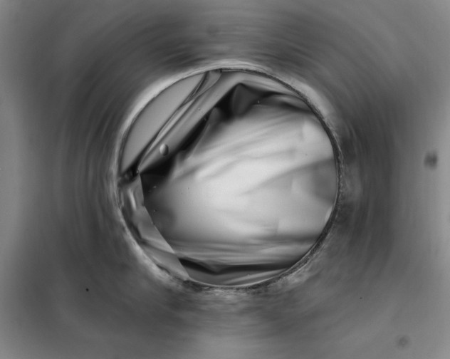 X0000098150910200805011404