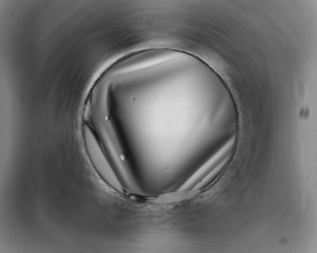 X0000098150912200805011404