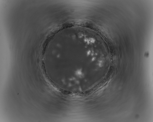 X0000098150913200805011404