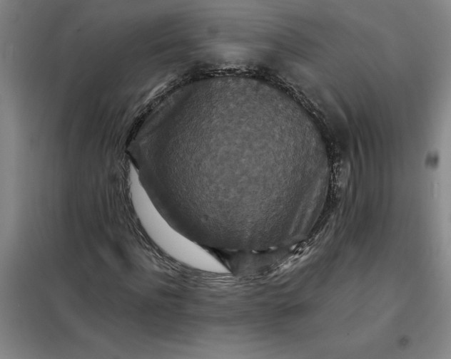 X0000098150916200805011404