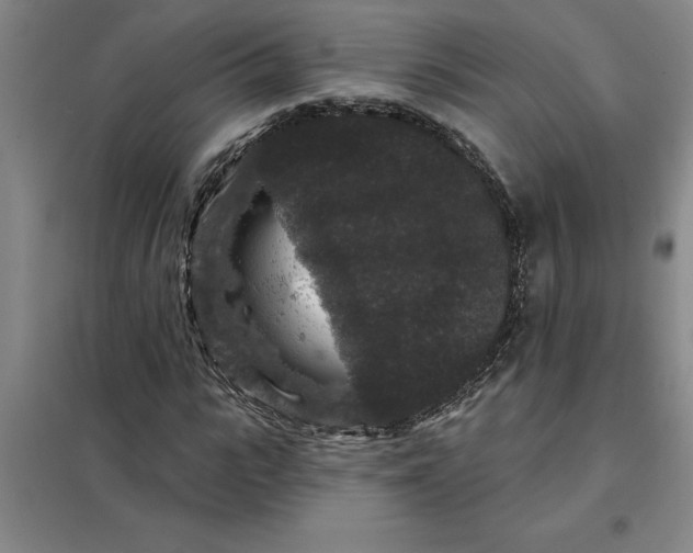 X0000098150919200805011404