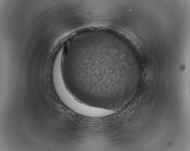 X0000098150920200805011404
