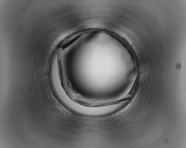 X0000098150922200805011404