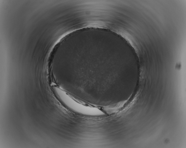 X0000098150923200805011404