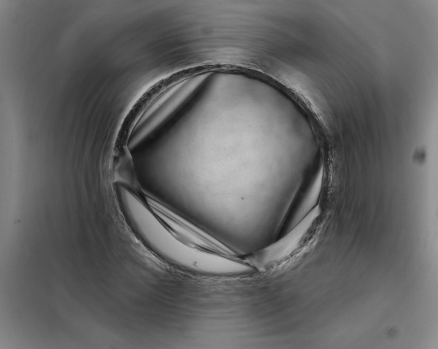 X0000098150924200805011404