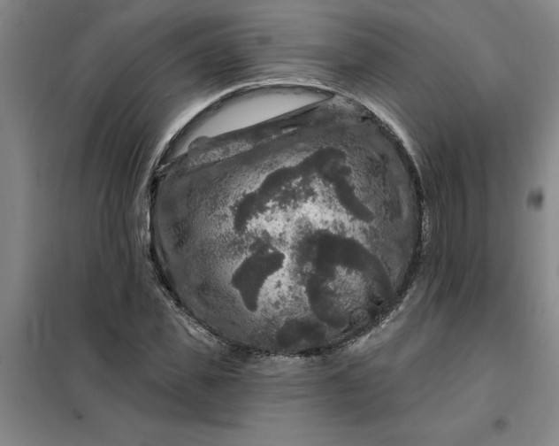 X0000098150925200805011404