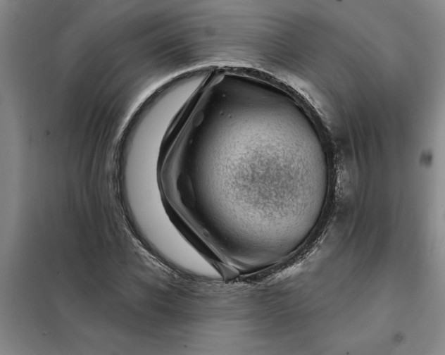 X0000098150926200805011404